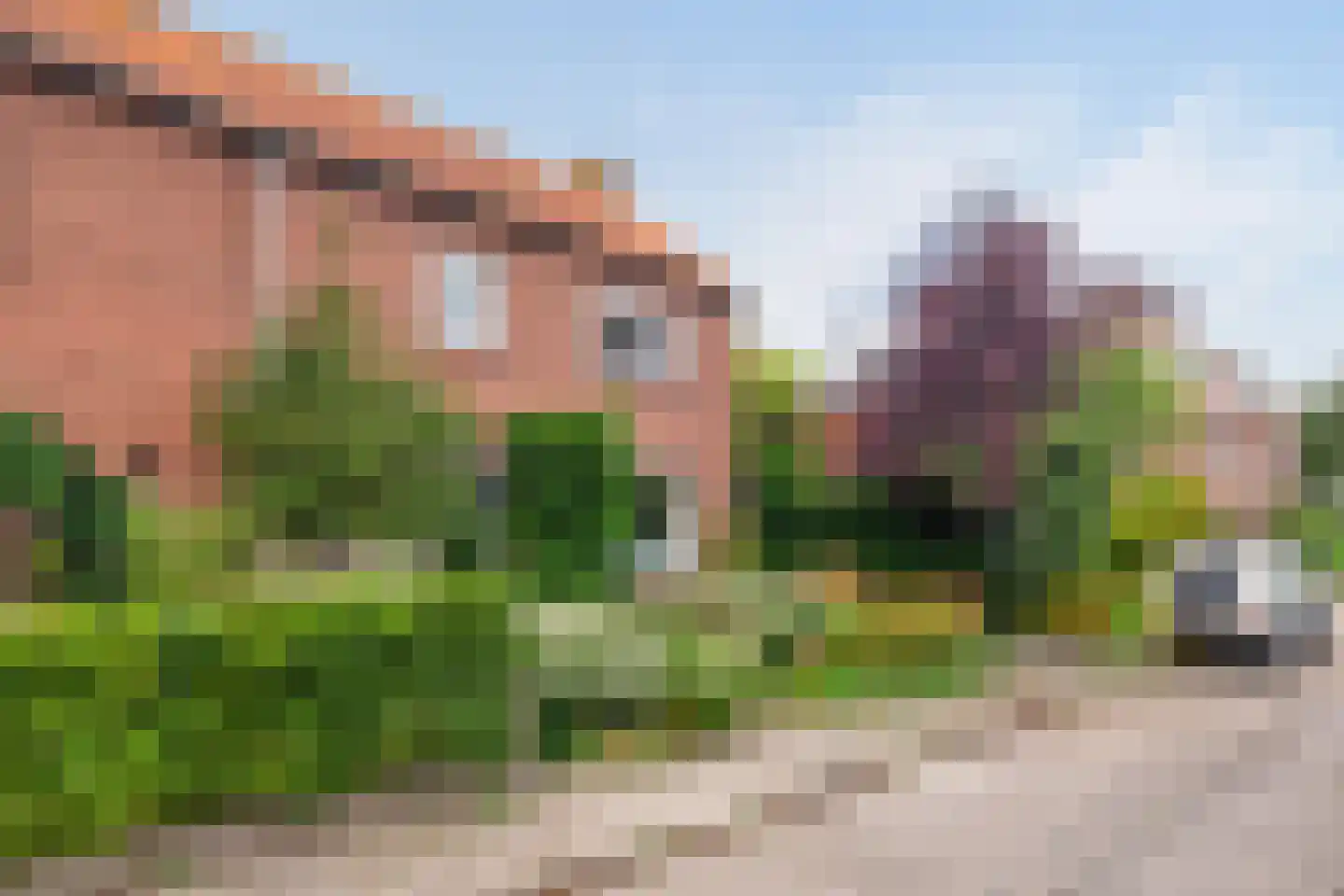 Burg. Talsmaweg 3 Kamerik thumbnail 32