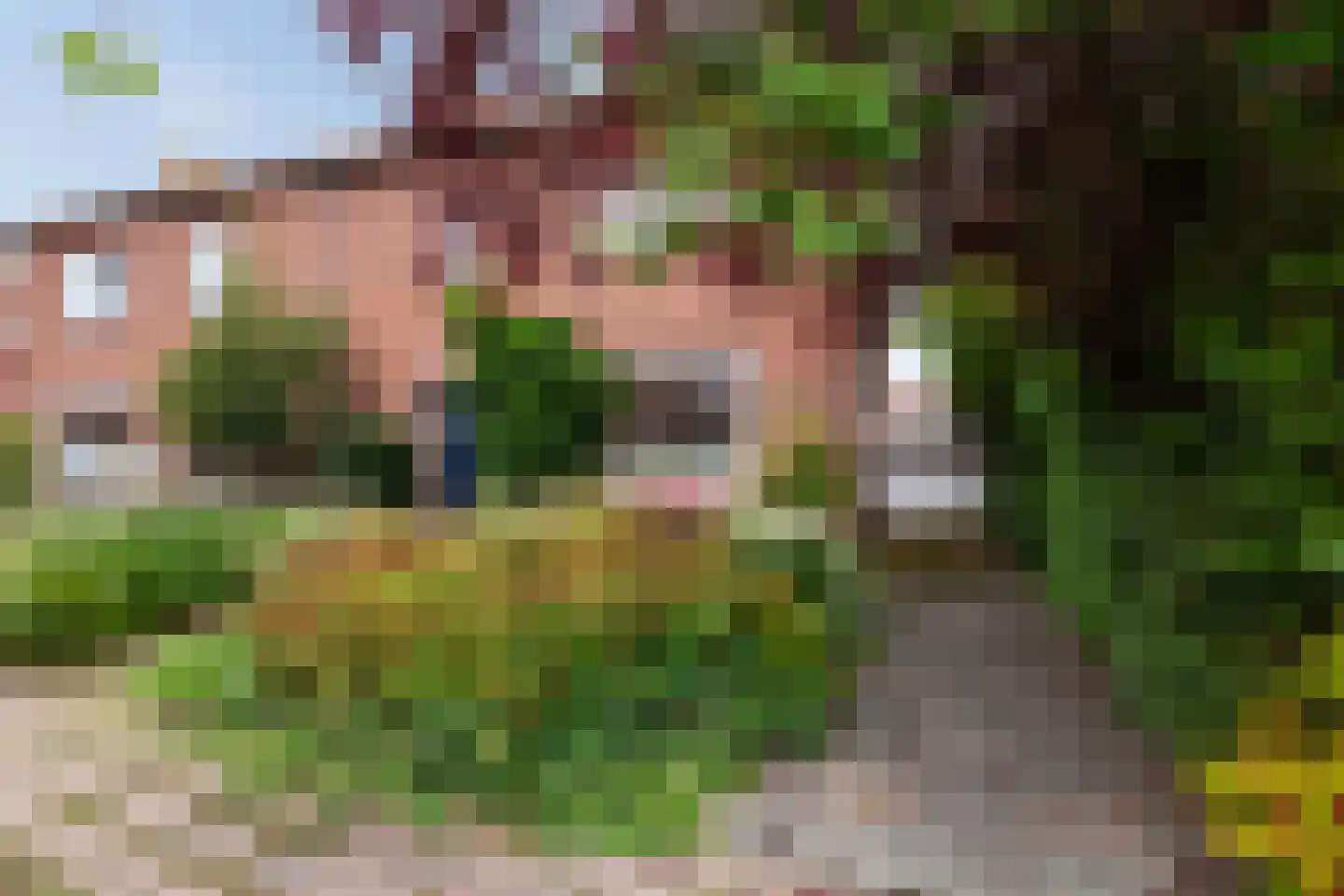 Burg. Talsmaweg 3 Kamerik thumbnail 34