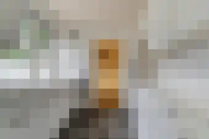 Burg ten Holteweg 1 a Dalen thumbnail 12