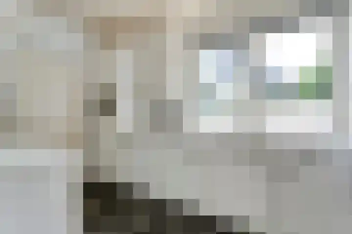Burg ten Holteweg 1 a Dalen thumbnail 14