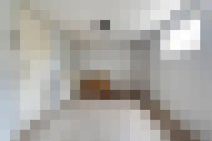 Burg ten Holteweg 1 a Dalen thumbnail 18