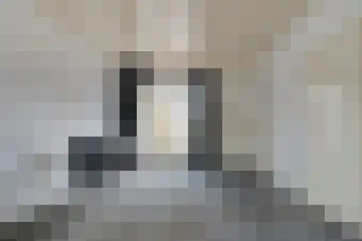 Burg ten Holteweg 1 a Dalen thumbnail 26