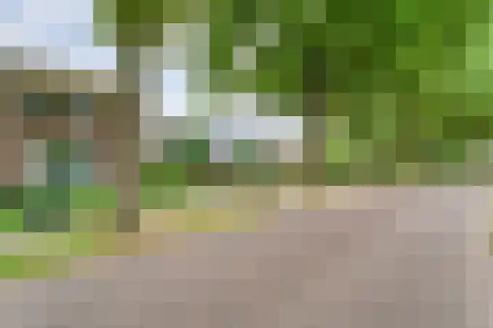 Burg ten Holteweg 1 a Dalen thumbnail 4