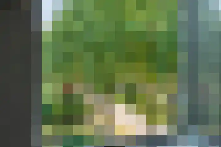 Burg ten Holteweg 1 a Dalen thumbnail 43