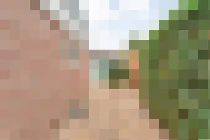Burg ten Holteweg 1 a Dalen thumbnail 47