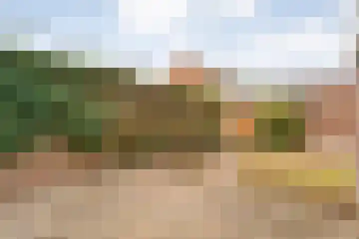 Burg ten Holteweg 1 a Dalen thumbnail 48