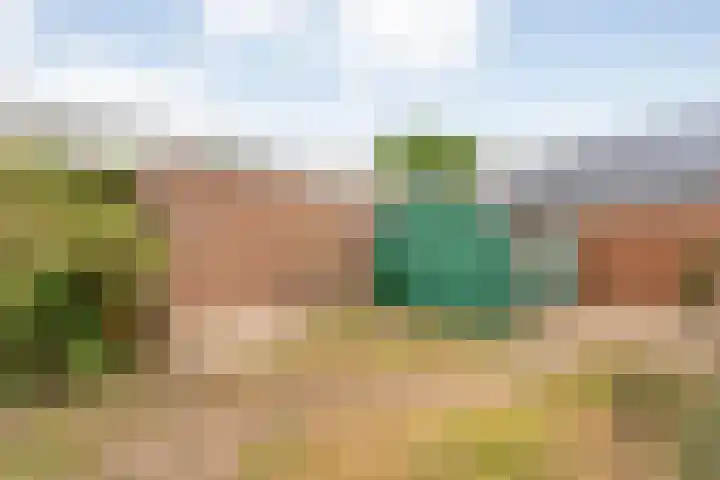 Burg ten Holteweg 1 a Dalen thumbnail 51
