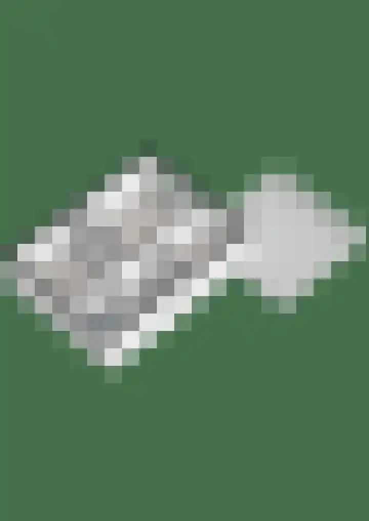 Burg ten Holteweg 1 a Dalen thumbnail 57