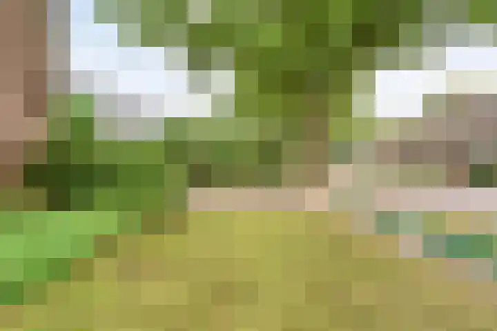 Burg ten Holteweg 1 a Dalen thumbnail 6