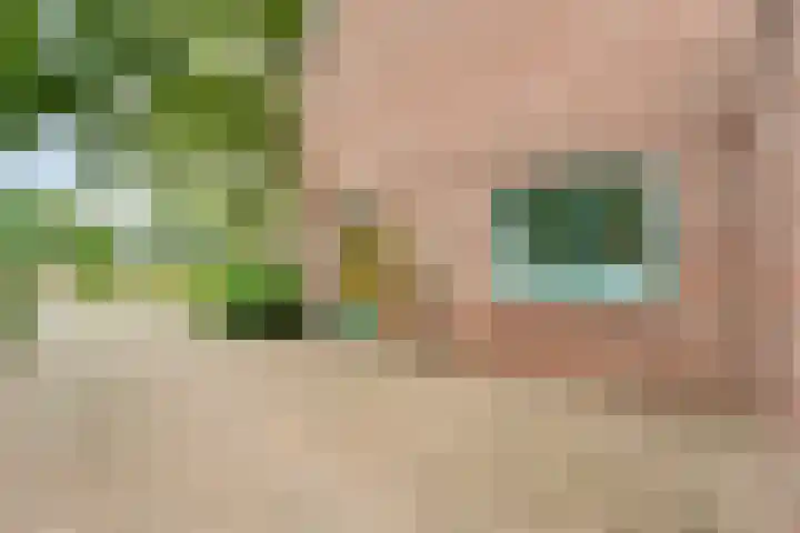 Burg ten Holteweg 1 a Dalen thumbnail 9