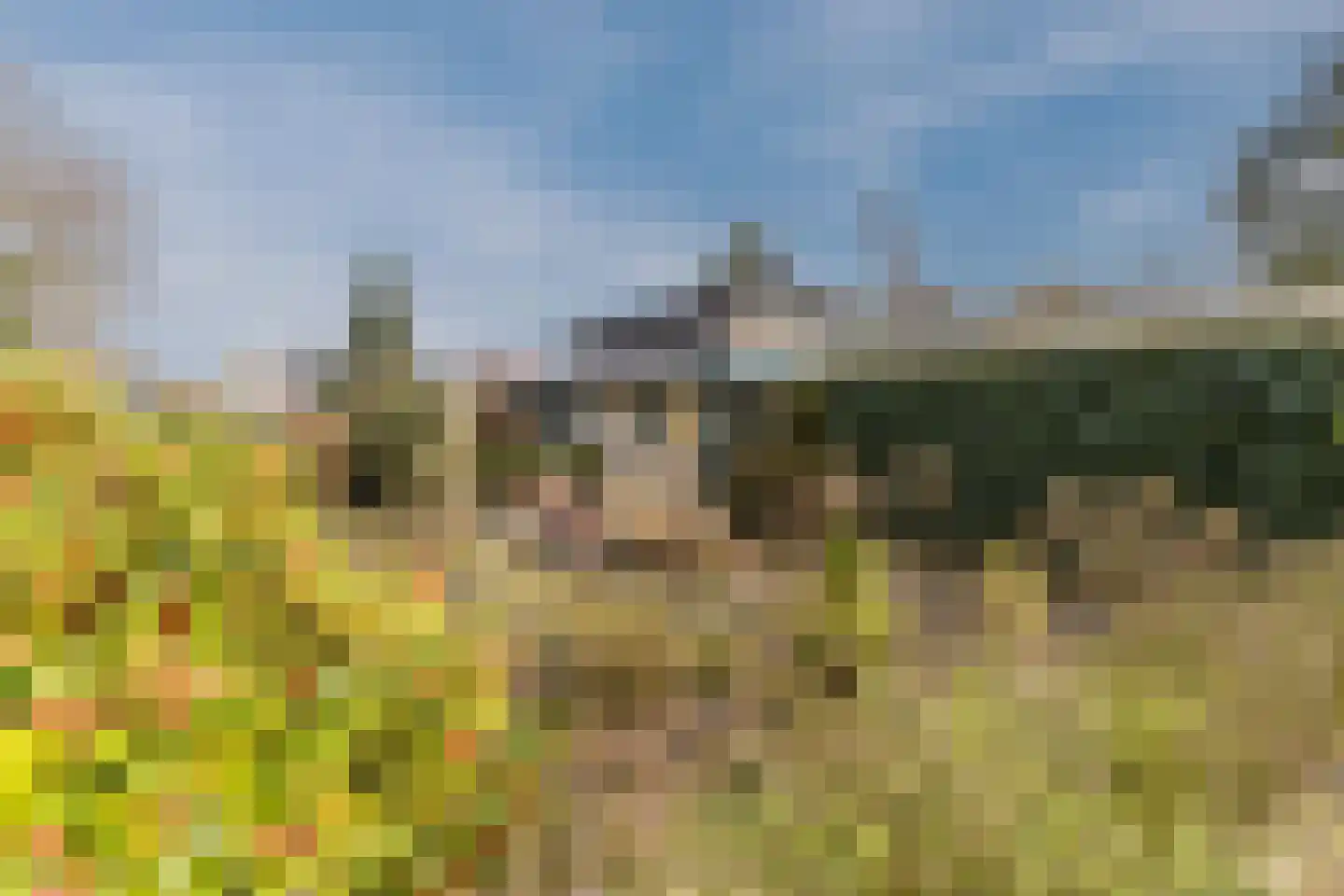 Burg ten Holteweg 21 Dalen thumbnail 32