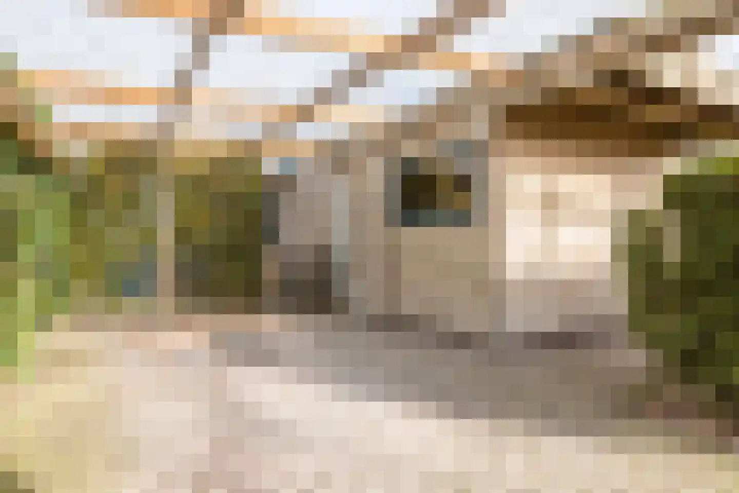 Burg ten Holteweg 21 Dalen thumbnail 34