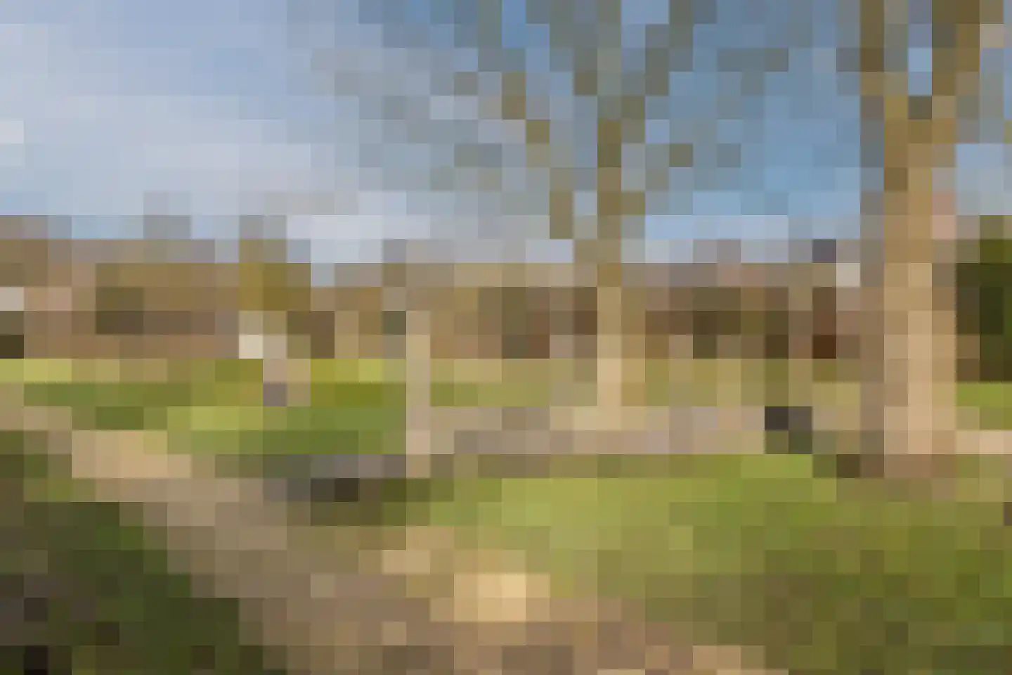 Burg ten Holteweg 21 Dalen thumbnail 40