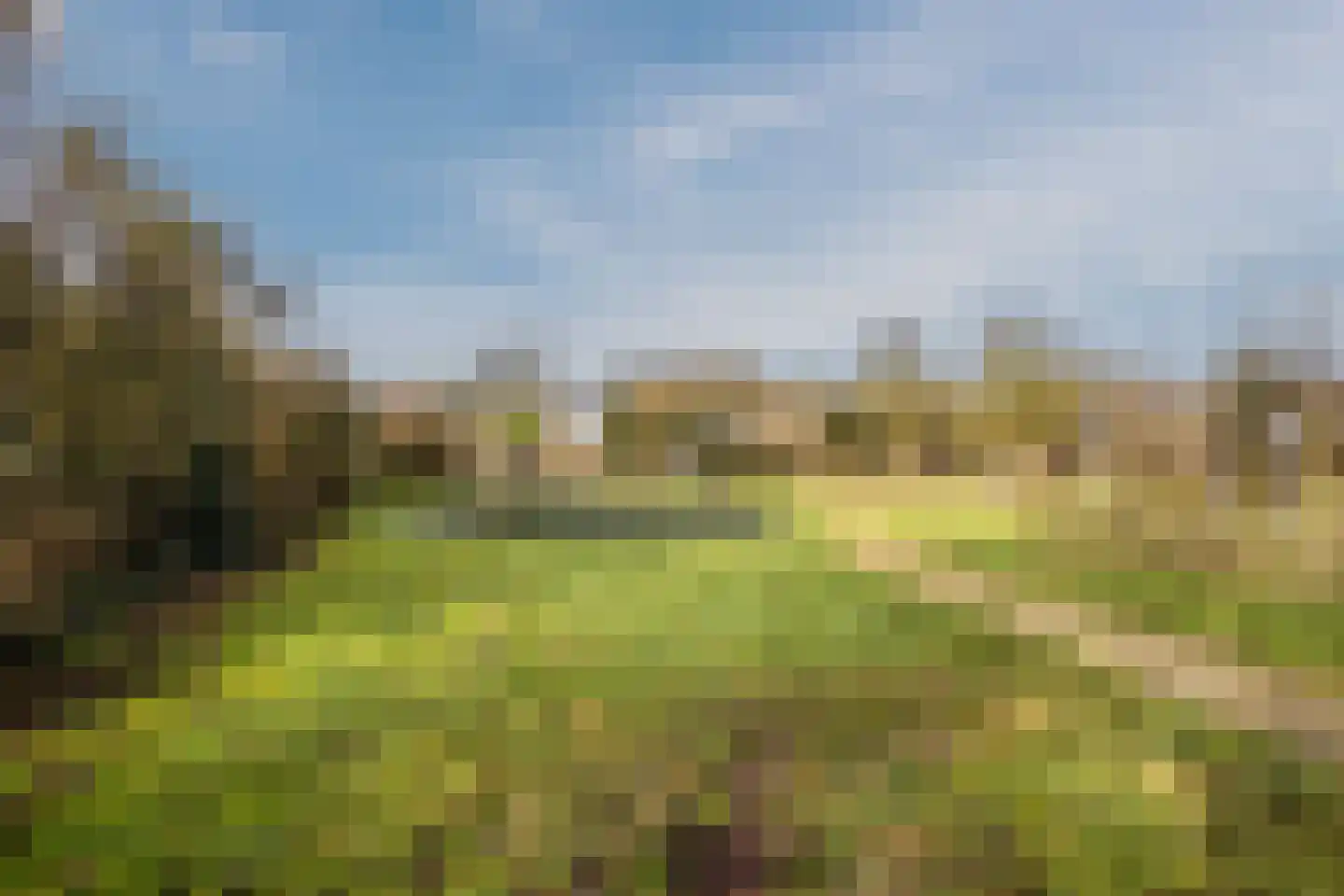 Burg ten Holteweg 21 Dalen thumbnail 41