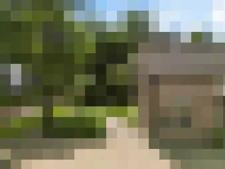 Burg ten Holteweg 31 Dalen thumbnail 41