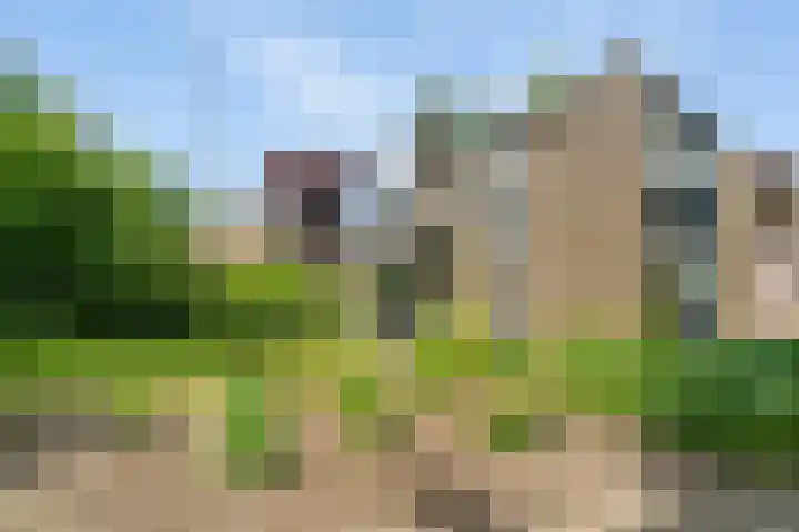 Burg ten Holteweg 31 Dalen thumbnail 43