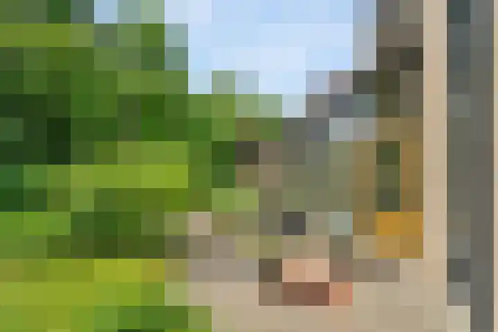 Burg ten Holteweg 31 Dalen thumbnail 5