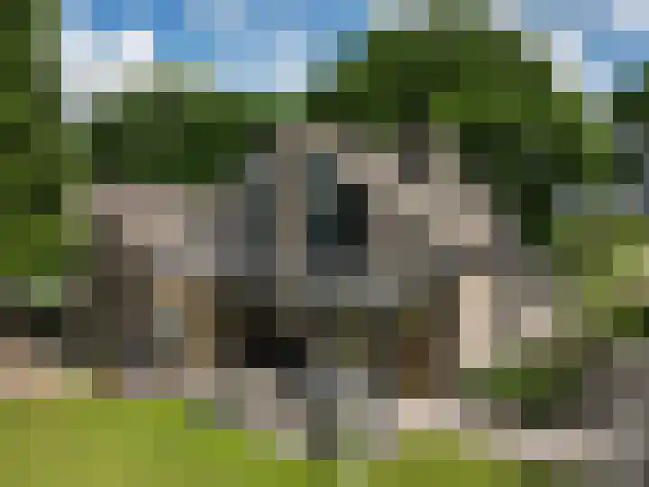 Burg ten Holteweg 31 Dalen thumbnail 6