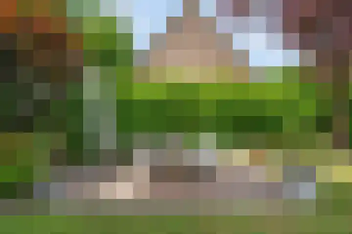Burg ten Holteweg 31 Dalen thumbnail 8