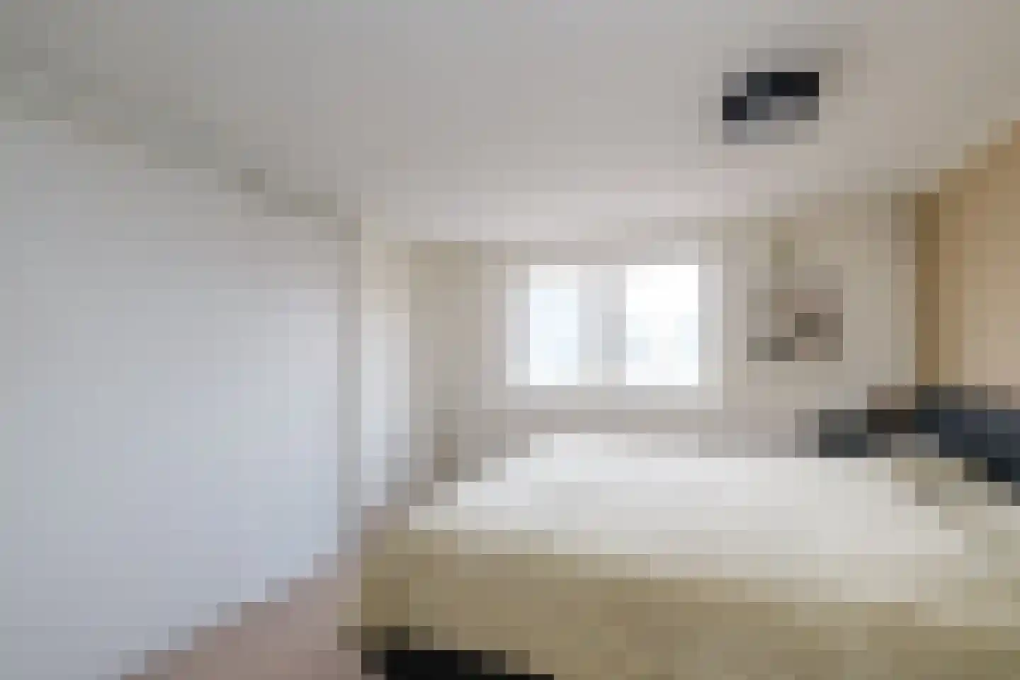 Burg ten Veldestr 105 Genemuiden thumbnail 18