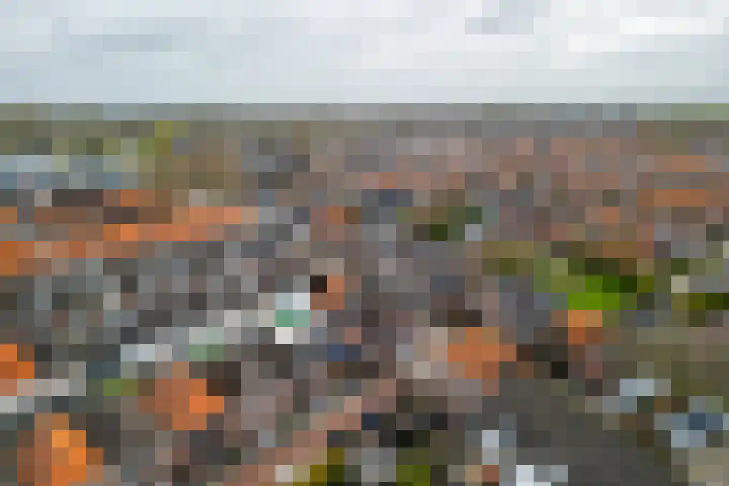 Burg ten Veldestr 105 Genemuiden thumbnail 44
