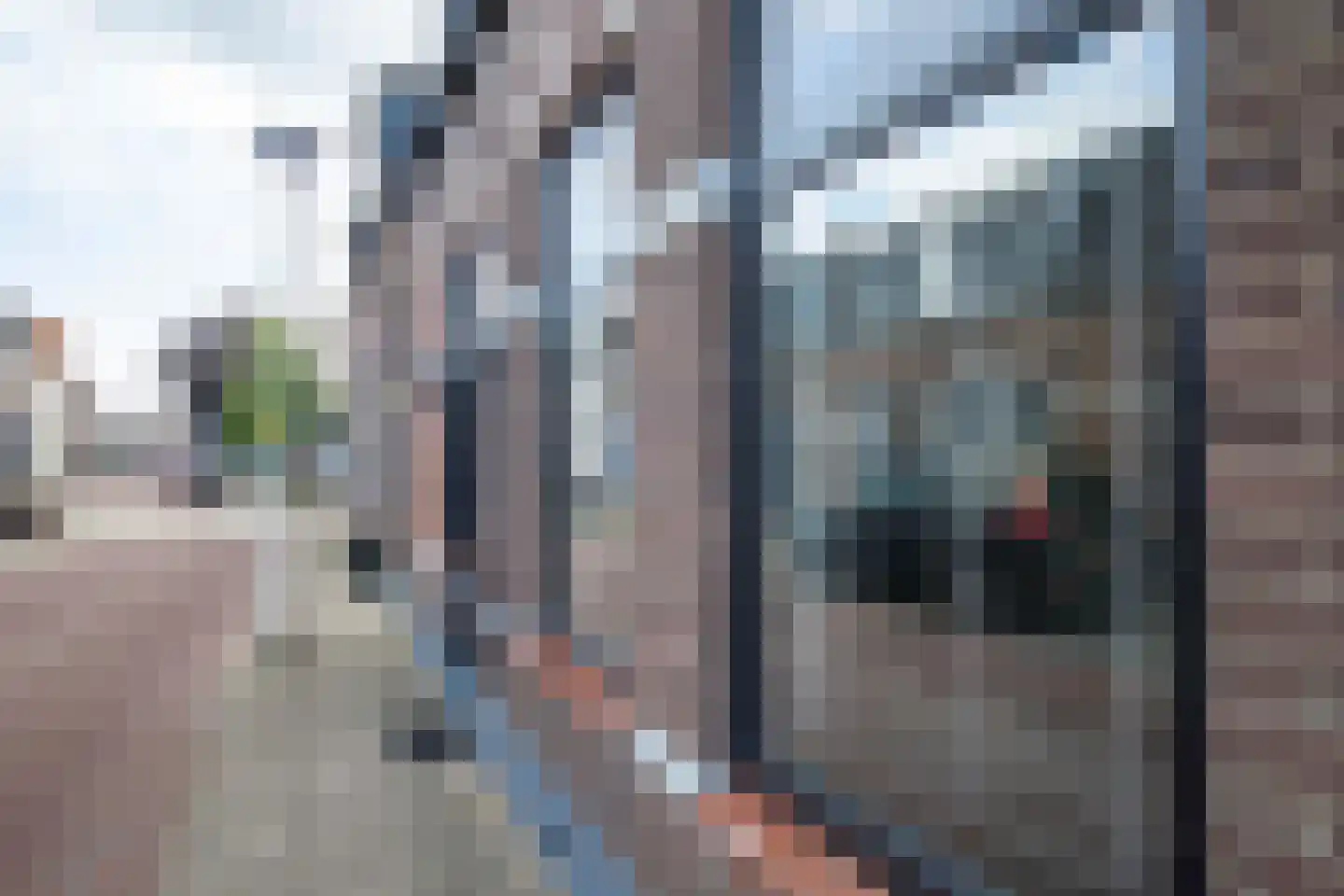 Burg ten Veldestr 32 Genemuiden thumbnail 12