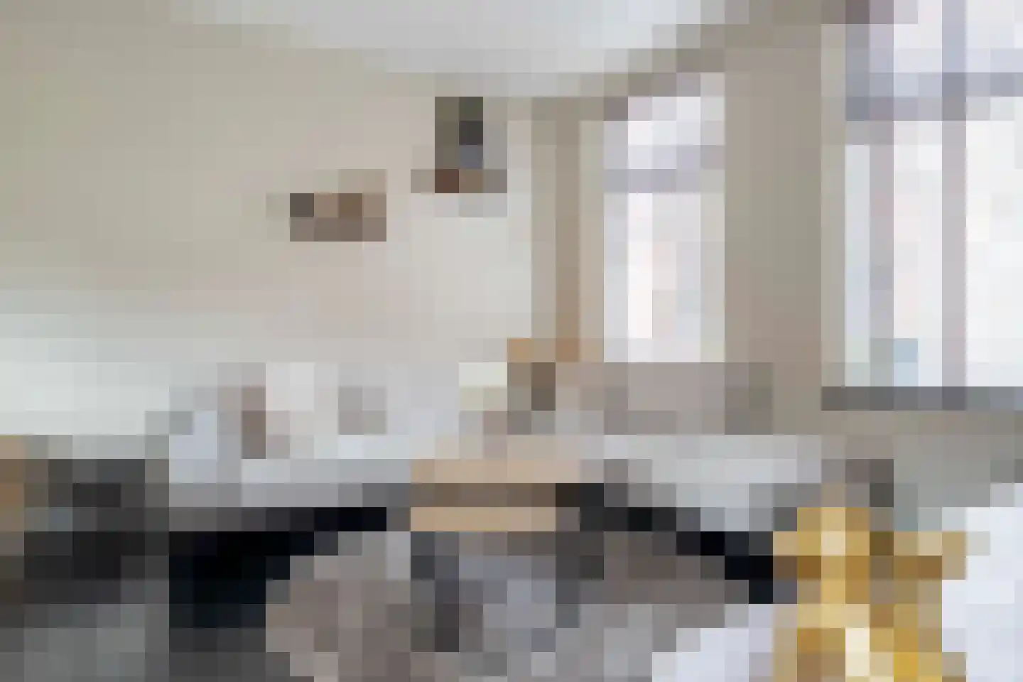 Burg ten Veldestr 32 Genemuiden thumbnail 16
