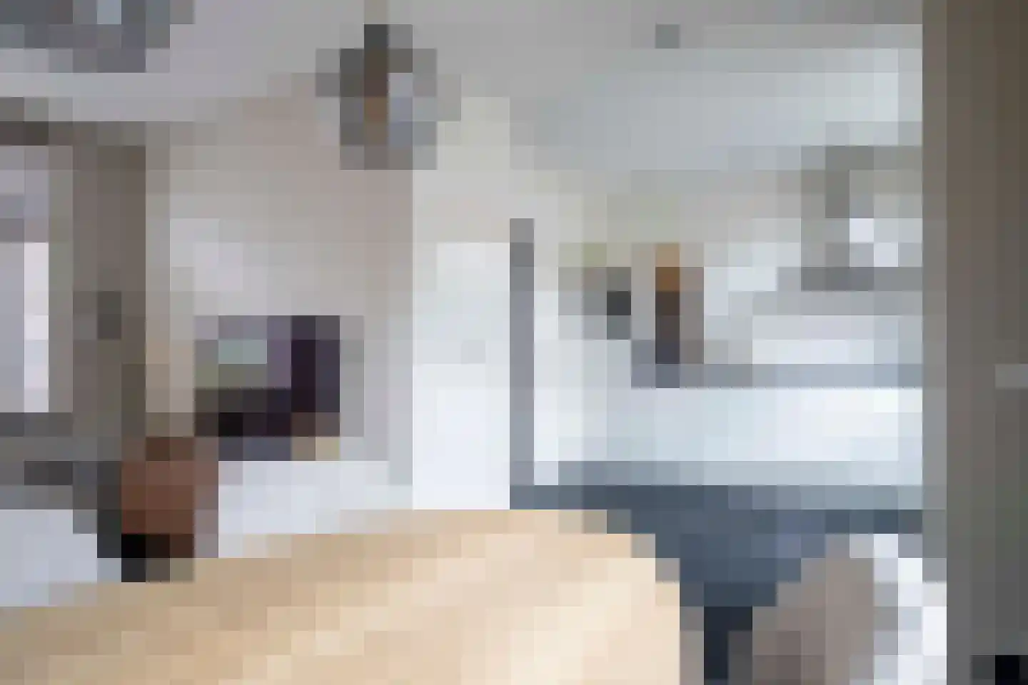 Burg ten Veldestr 32 Genemuiden thumbnail 19