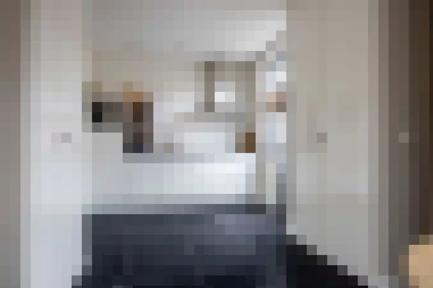 Burg ten Veldestr 32 Genemuiden thumbnail 20