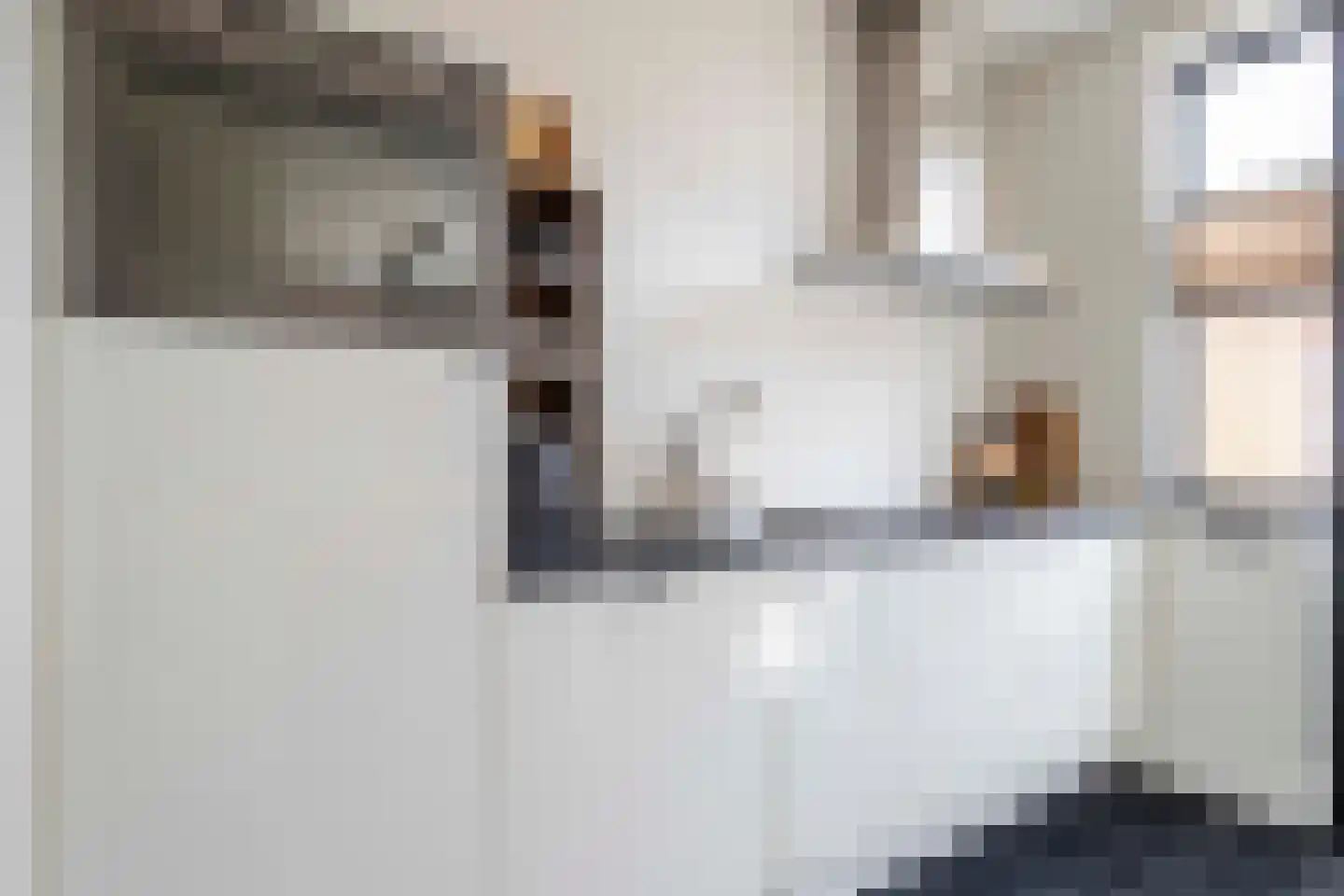 Burg ten Veldestr 32 Genemuiden thumbnail 22
