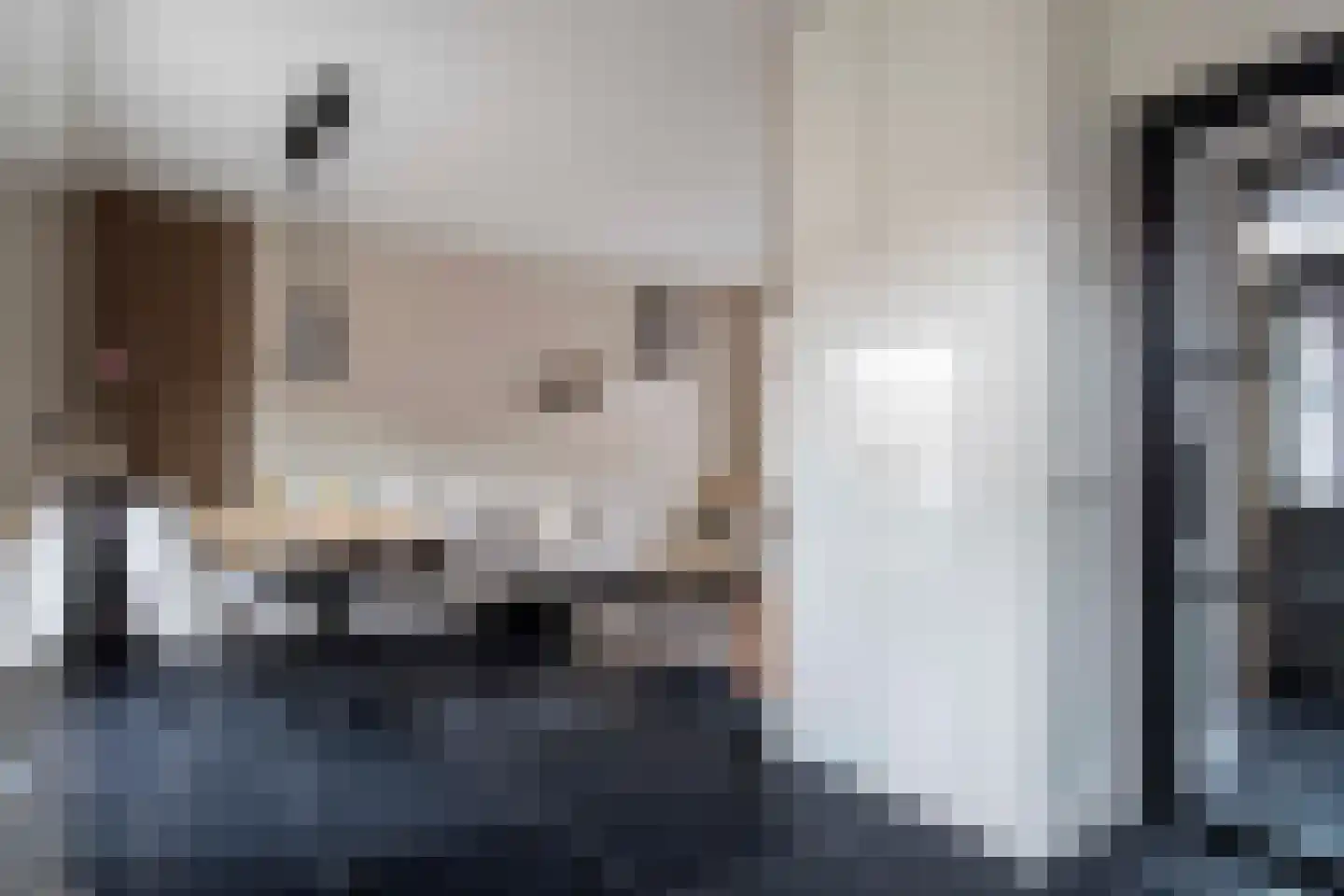 Burg ten Veldestr 32 Genemuiden thumbnail 23