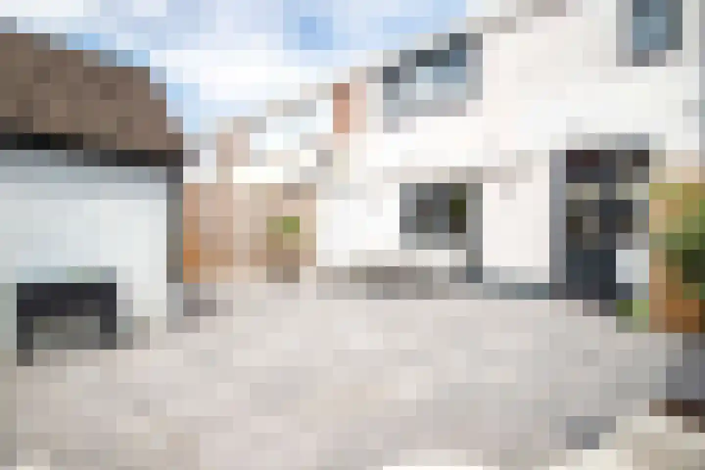 Burg ten Veldestr 32 Genemuiden thumbnail 24