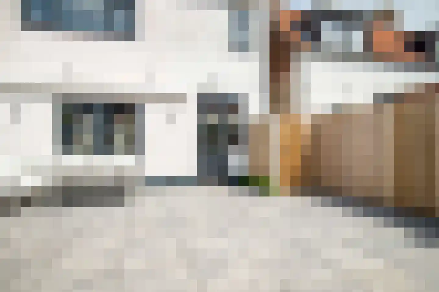 Burg ten Veldestr 32 Genemuiden thumbnail 25