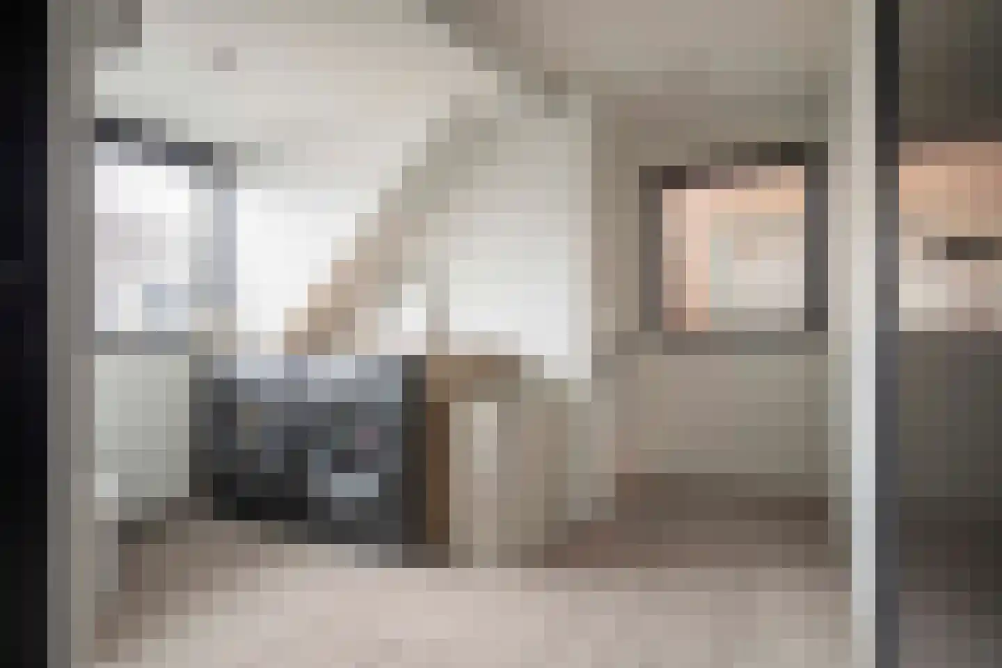 Burg ten Veldestr 32 Genemuiden thumbnail 29
