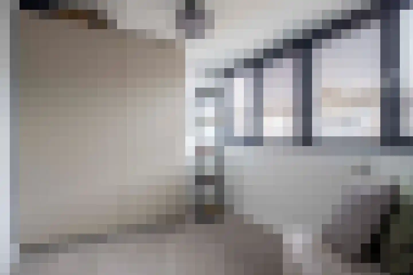 Burg ten Veldestr 32 Genemuiden thumbnail 31
