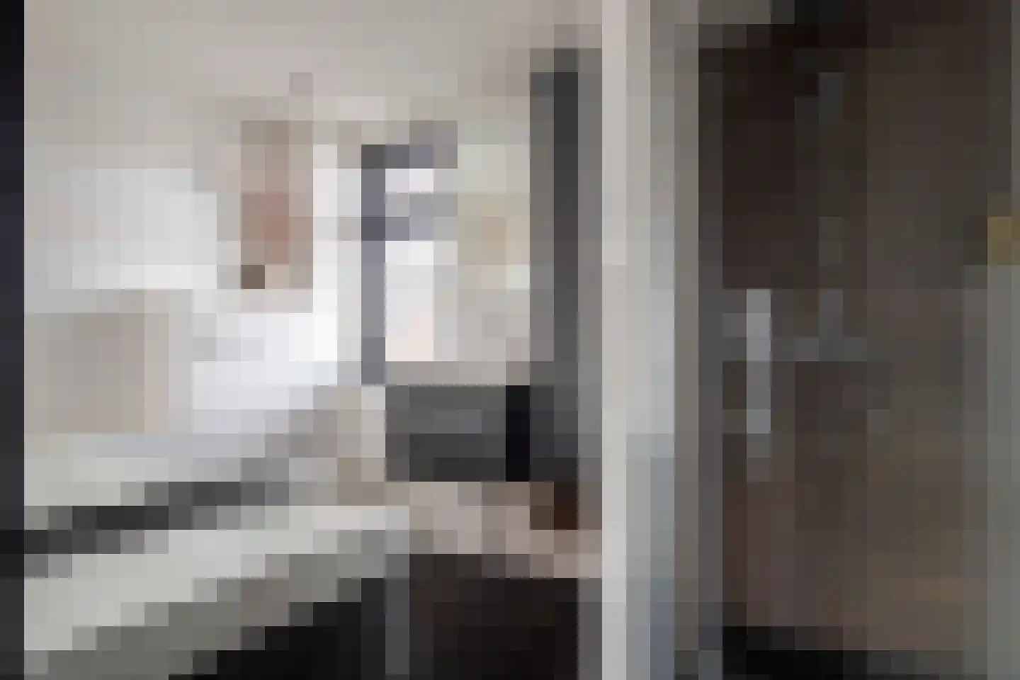 Burg ten Veldestr 32 Genemuiden thumbnail 34