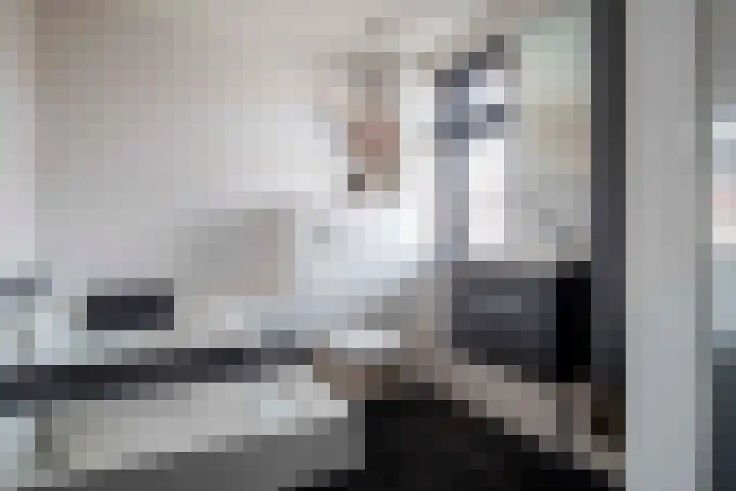 Burg ten Veldestr 32 Genemuiden thumbnail 35