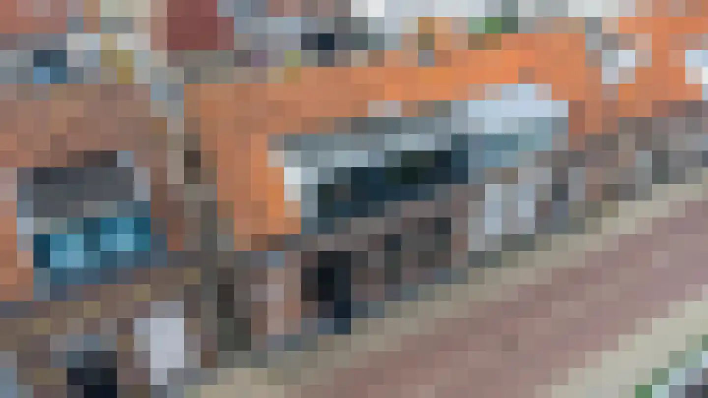 Burg ten Veldestr 32 Genemuiden thumbnail 6
