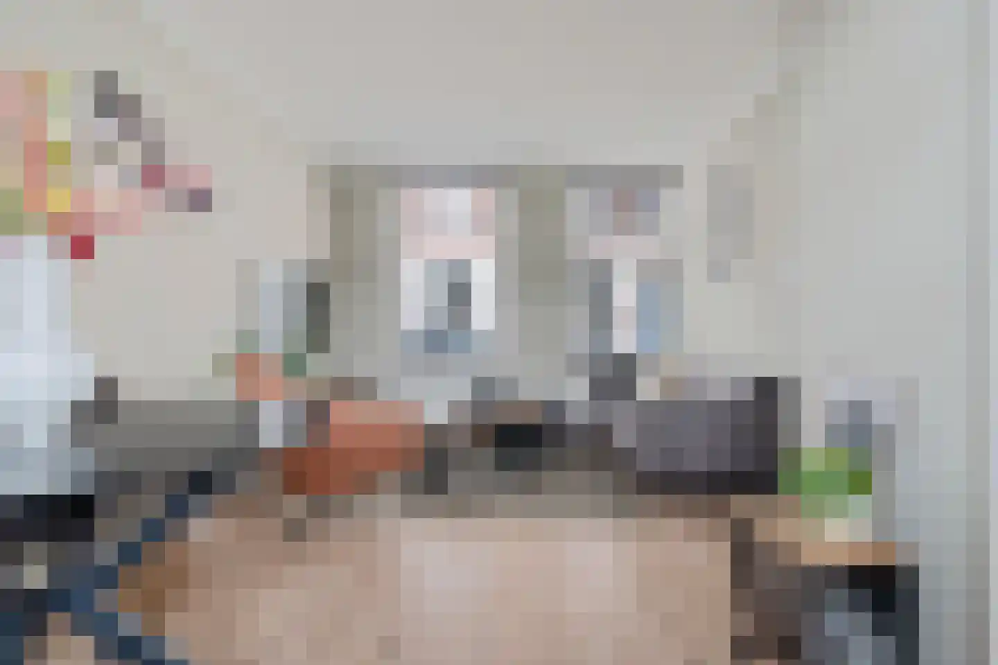 Burg ten Veldestr 37 Genemuiden thumbnail 10
