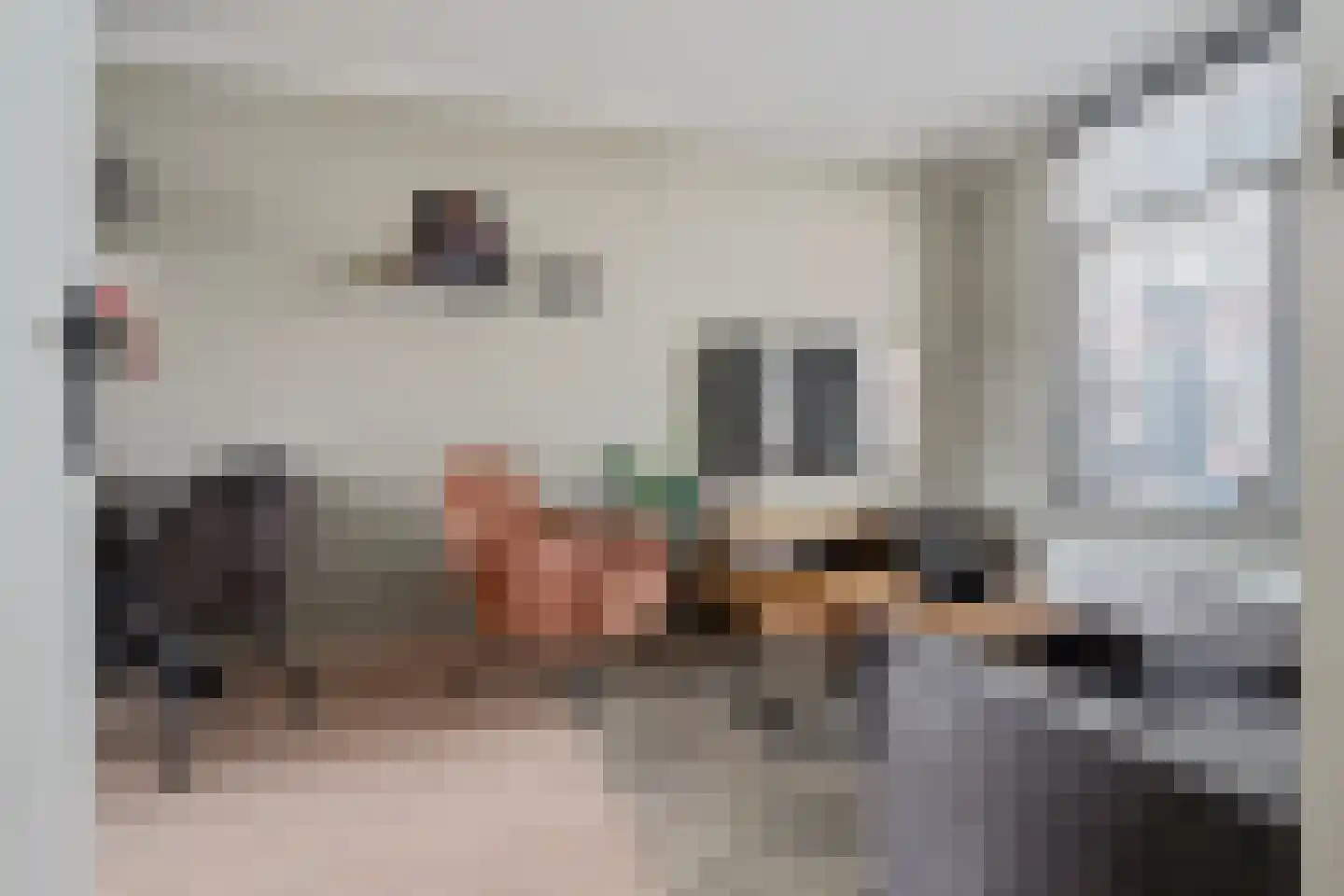 Burg ten Veldestr 37 Genemuiden thumbnail 11