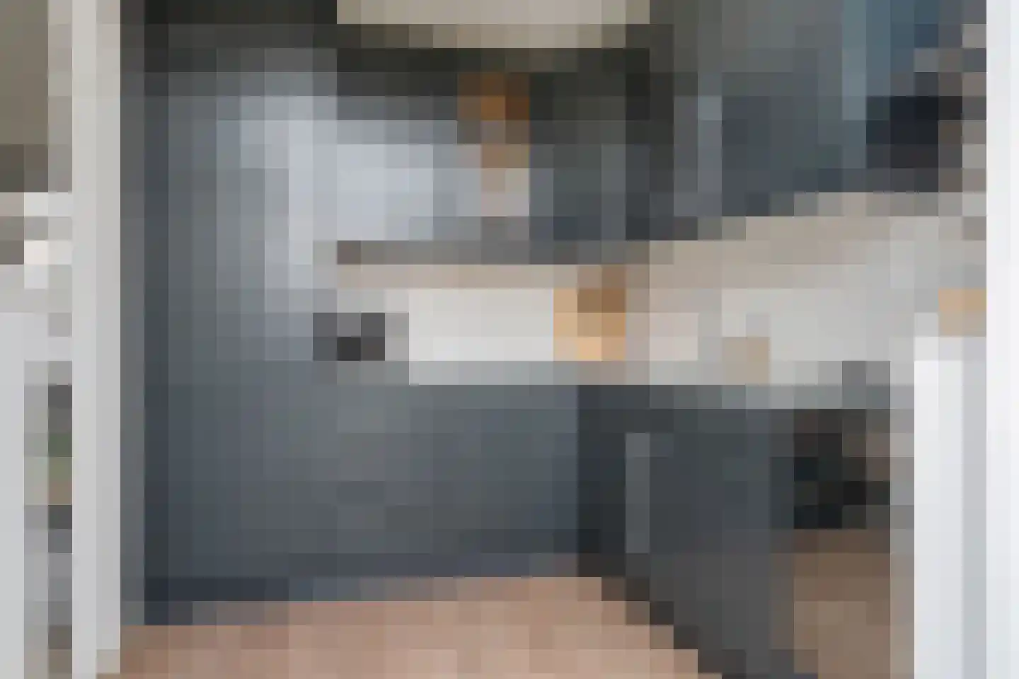 Burg ten Veldestr 37 Genemuiden thumbnail 15