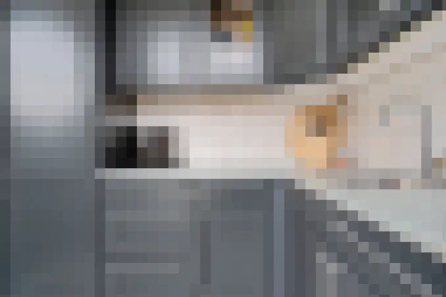 Burg ten Veldestr 37 Genemuiden thumbnail 16