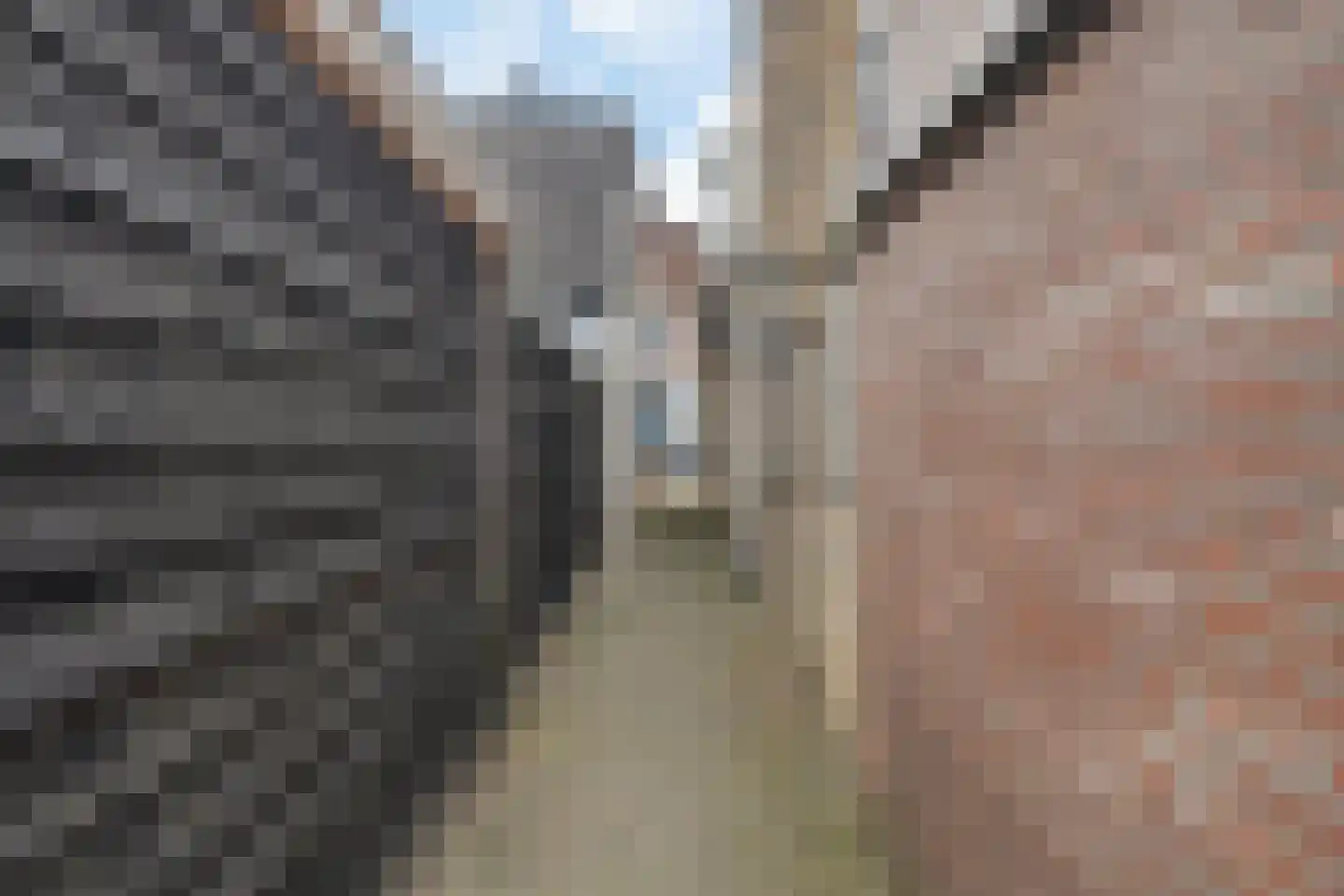 Burg ten Veldestr 37 Genemuiden thumbnail 17