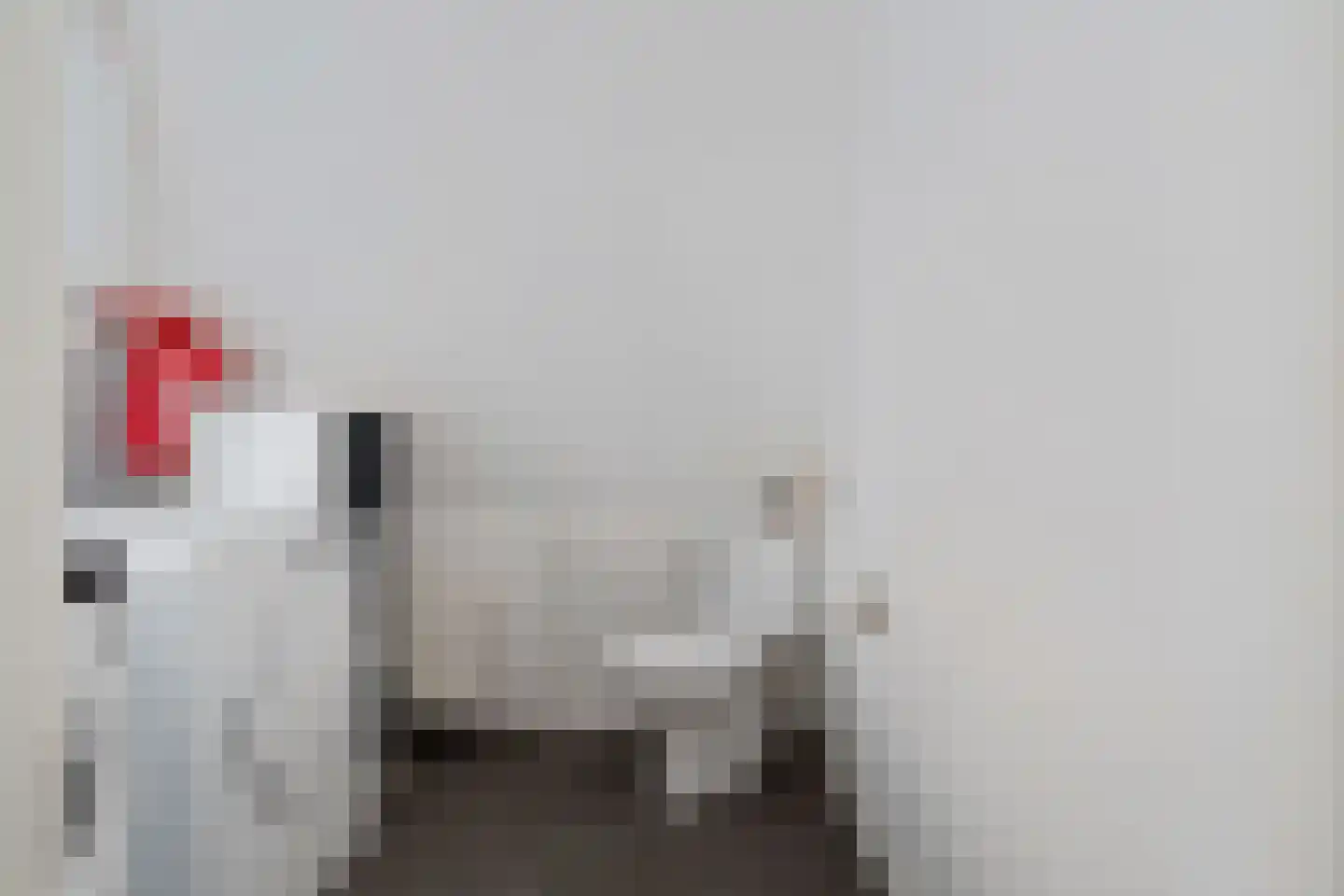 Burg ten Veldestr 37 Genemuiden thumbnail 31