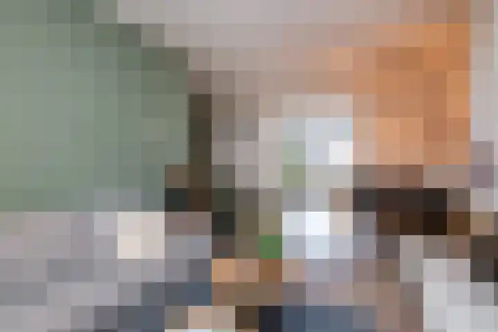Burg ten Veldestr 41 Genemuiden thumbnail 11