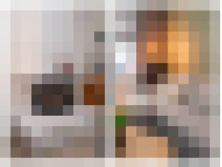 Burg ten Veldestr 41 Genemuiden thumbnail 15