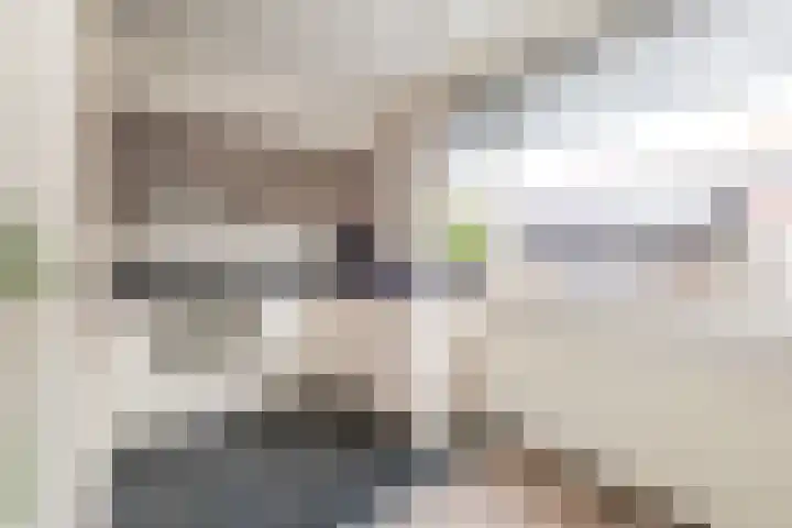 Burg ten Veldestr 41 Genemuiden thumbnail 16