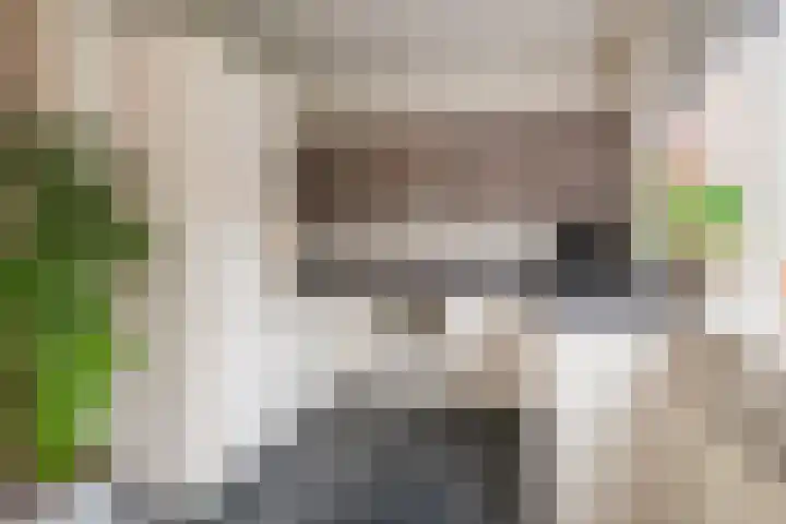 Burg ten Veldestr 41 Genemuiden thumbnail 17