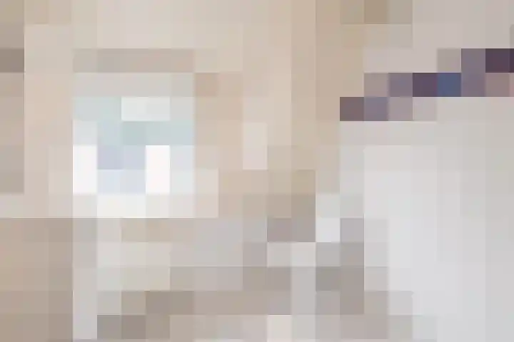 Burg ten Veldestr 41 Genemuiden thumbnail 22