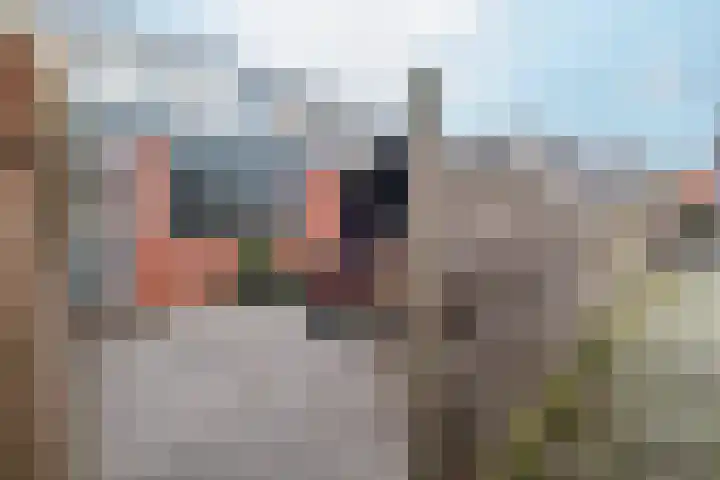 Burg ten Veldestr 41 Genemuiden thumbnail 30